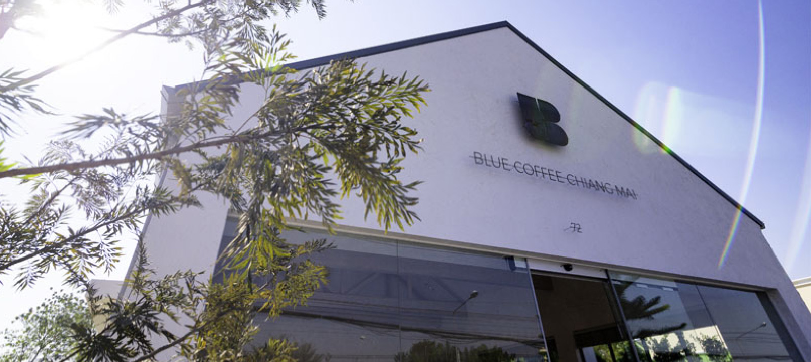 Blue Coffee at Mae Hia