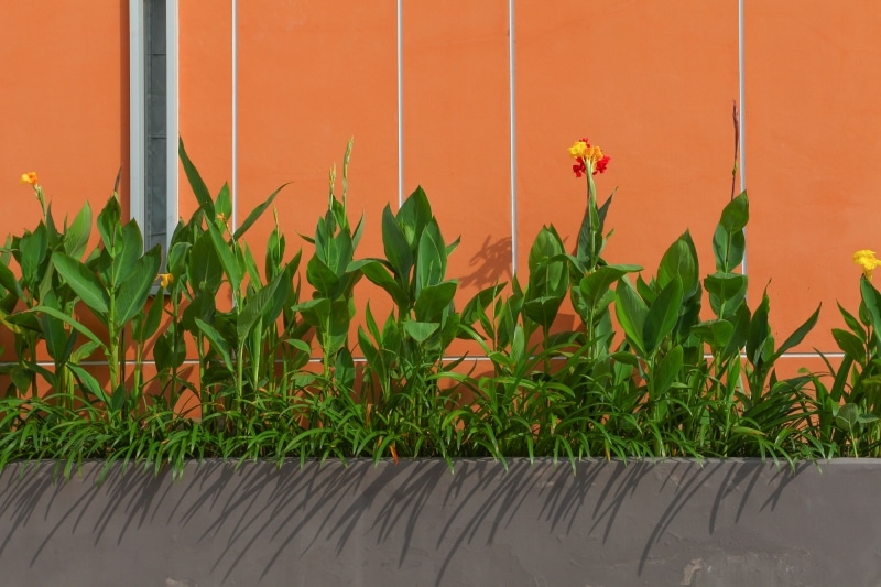 2556-12-13-replay 014.jpg