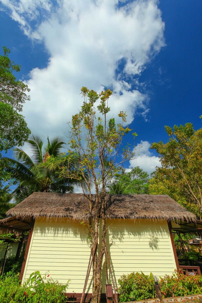 2556-12-20-Tup Kaek Sunset ex 063.jpg