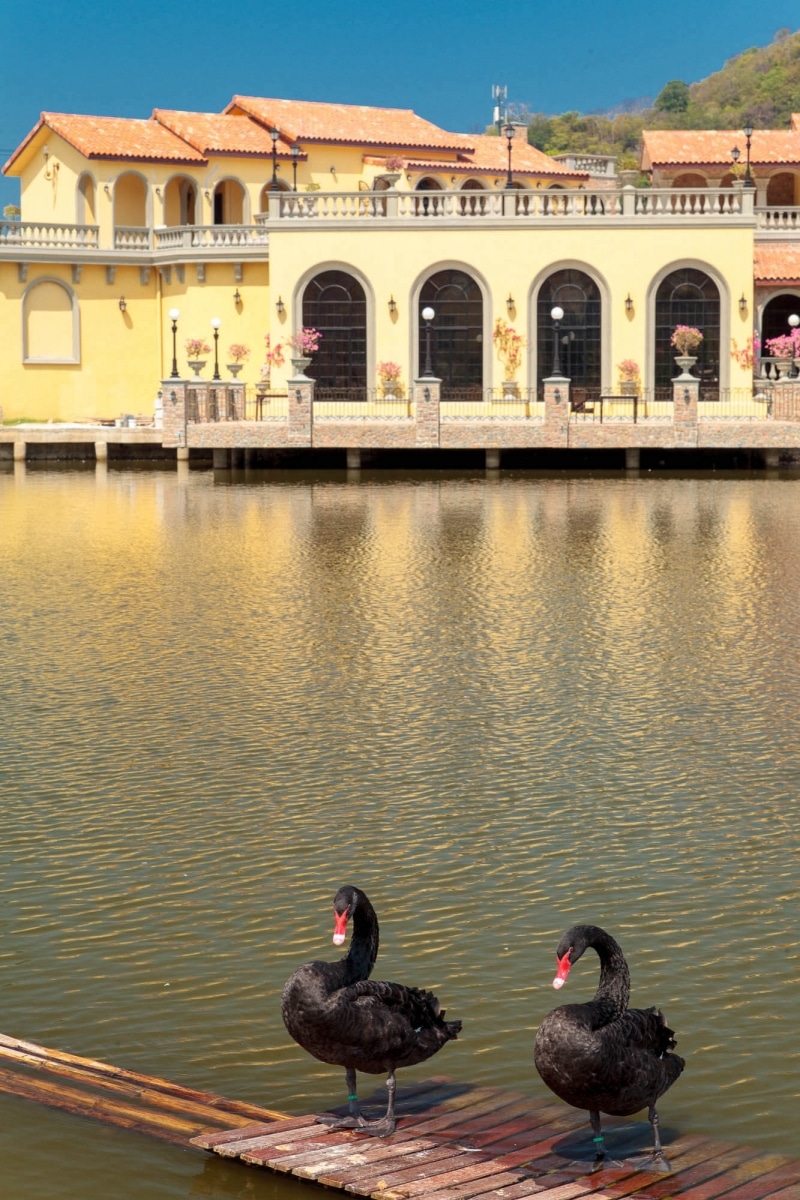 2559-04-11-Cita de COMO-43.jpg