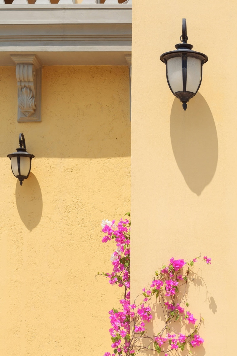 2559-04-11-Cita de COMO-47.jpg